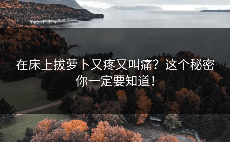在床上拔萝卜又疼又叫痛?这个秘密你一定要知道! 在床上拔萝卜又疼又叫痛?这个秘密你一定要知道!