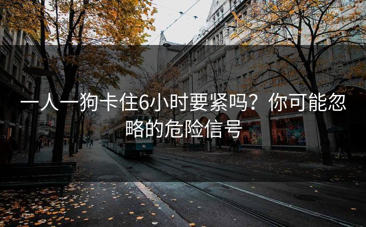 一人一狗卡住6小时要紧吗?你可能忽略的危险信号 一人一狗卡住6小时要紧吗?你可能忽略的危险信号