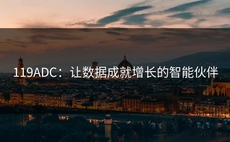 119ADC：让数据成就增长的智能伙伴