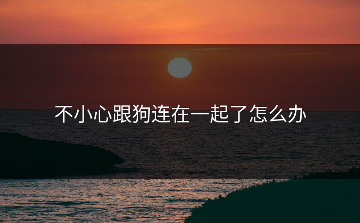 不小心跟狗连在一起了怎么办 不小心跟狗连在一起了怎么办